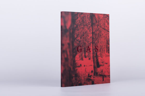 wolfgang voigt - GAS