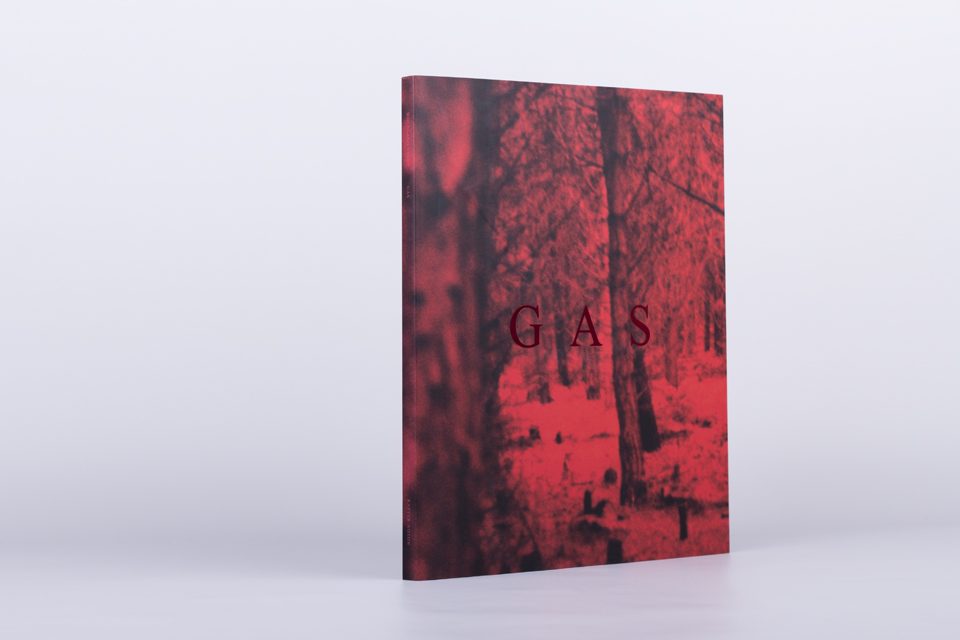 wolfgang voigt - GAS