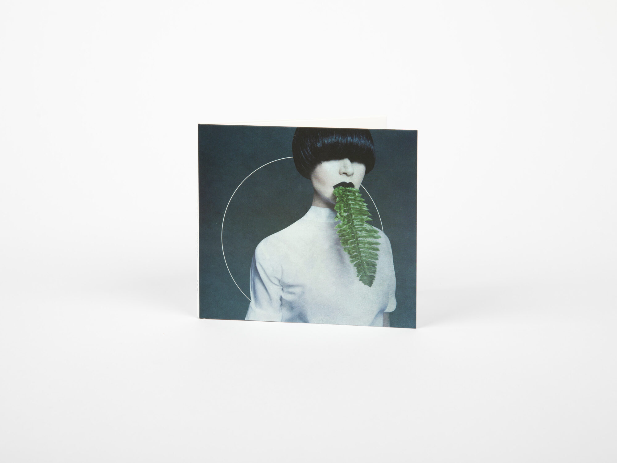 kangding ray - cory arcane